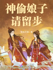 Thief Lady, Please Stay