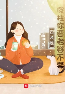 Siheyuan Silly Pillar, Do You Want a Wife?