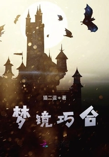 Dream Mirror Coincidence