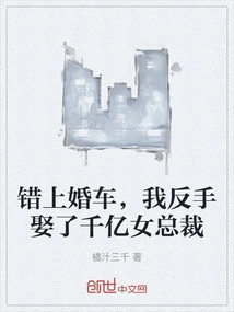 I Got into the Wedding Car by Mistake, and I Backhandedly Married a Billionaire Female Ceo