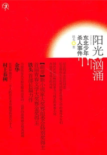 The Sunshine is Raging: the Northeastern Teenage Murder Case