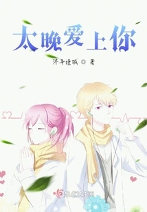 Too Late to Fall in Love with You