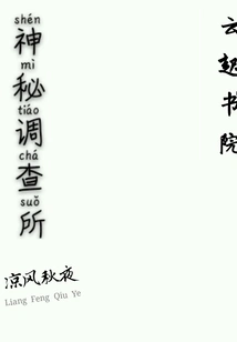 Mysterious Investigation Agency