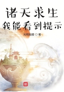 Survive the Sky: I Can See Prompts