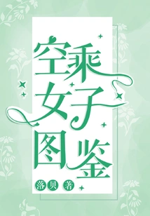 Flight Attendant Women's Illustrated Book