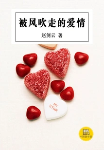 Love Blown Away by the Wind (a Good Chinese Novel)