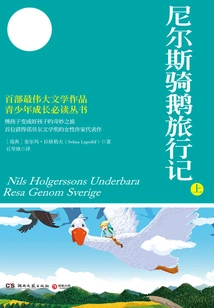 Niels' Travels Riding a Goose