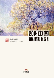 2014 Chinese Micro-novel Annual Selection
