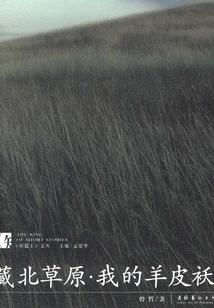 Northern Tibet Grassland·my Sheepskin Jacket