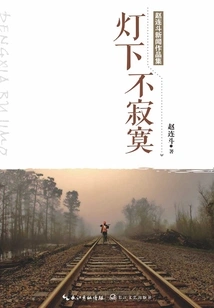 Not Lonely under the Light: a Collection of Journalistic Works by Zhao Liandou