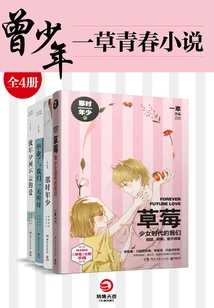 Zeng Shao Shao: Yicao Youth Novel (4 Volumes in Total)