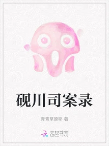 Yanchuan Division Case Records