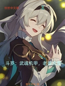 Douluo: Wuhun Mecha, Wife Liuying