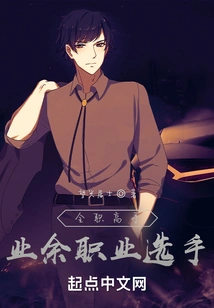 Full-time Expert: Amateur Professional Player