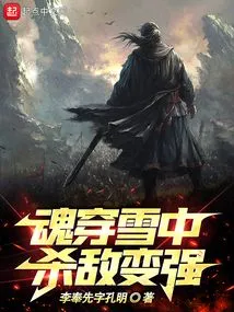 Soul in the Snow: Kill Enemies and Become Stronger