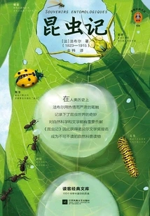 Insect Diary