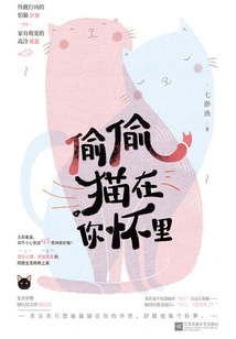 Secret Cat in Your Arms