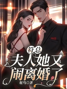 Mr. Fu, Madam, She is Getting Divorced Again