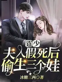 Mr. Ting, My Wife Faked Her Death and Secretly Gave Birth to Three Children