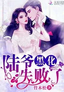 Mr. Lu's Darkening Failed