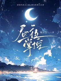 Day and Night Control