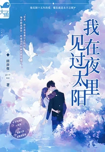 I Have Seen the Sun at Night