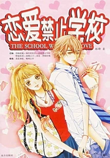 Love Forbidden School