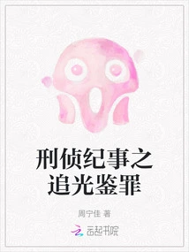 Criminal Investigation Chronicles: Chasing the Light and Diagnosing the Crime