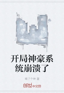 The Shenhao System Crashed at the Beginning