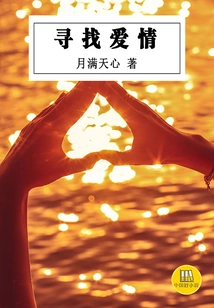 Looking for Love (a Good Chinese Novel)