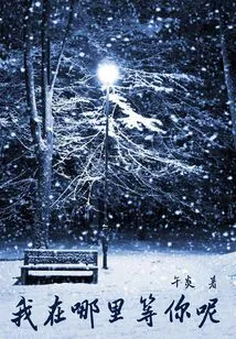 Where Will I Wait for You?