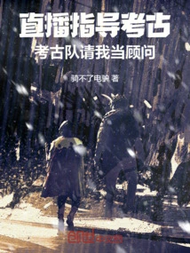 Live Broadcast to Guide Archeology, the Archaeological Team Asked Me to Be a Consultant