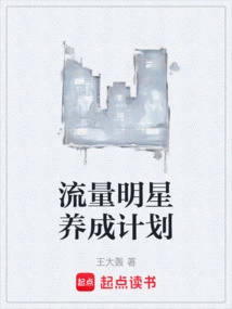 Traffic Star Development Plan