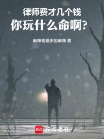 The Lawyer's Fee is Only a Few Dollars, What Are You Trying to Do with Your Life?