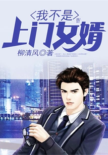 I'm Not a Door-to-door Son-in-law