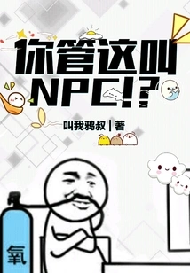 You Call This Npc! ?