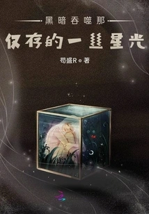 The Darkness Swallows up the Remaining Starlight