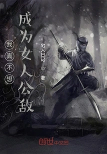 I Really Don't Want to Be the Public Enemy of Women