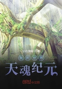 Minecraft Tianhun Era