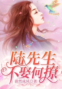 Mr. Lu, Why Would You Tease Me If You Don't Want to Marry Me?