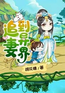 Chasing His Wife to Another World