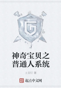 Pokémon: Ordinary System