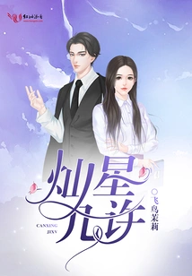 How Many Bright Stars