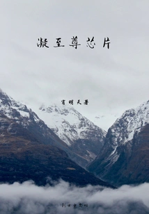 Ningzhi Supreme Chip