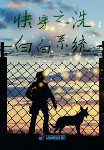 Quick Wear Cleaning System