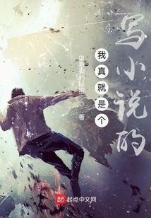 I'm Really Just a Novelist