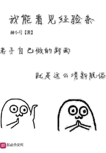 I Can See the Experience Bar