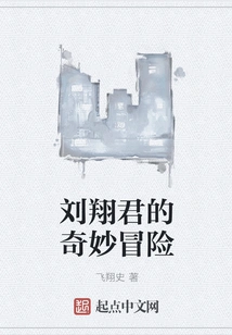 Liu Xiangjun's Bizarre Adventure