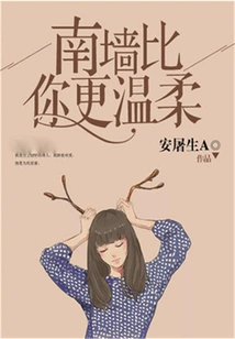 The South Wall is Gentler Than You