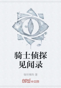 Knight Detective's Chronicles